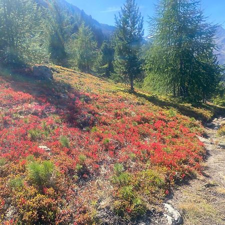 Sportpension Rubin Зёльден Экстерьер фото